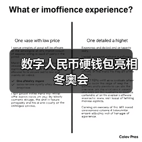 数字人民币硬钱包亮相冬奥会（图3）