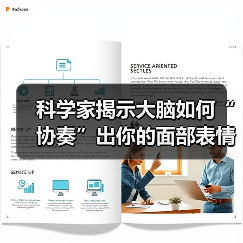 科学家揭示大脑如何“协奏”出你的面部表情（图4）
