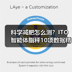 科学减肥怎么测？ITO智能体脂秤10项数据精准分析