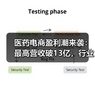 医药电商盈利潮来袭：最高营收破13亿，行业进入加速期（图4）