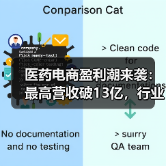 医药电商盈利潮来袭：最高营收破13亿，行业进入加速期（图2）
