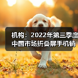 机构：2022年第三季度中国市场折叠屏手机销量同比增长114%（图2）