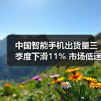 中国智能手机出货量三季度下滑11% 市场低迷延续