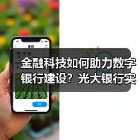 金融科技如何助力数字银行建设？光大银行实践路径解析（图4）