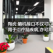 陶虎:脑机接口不仅可以用于治疗脑疾病,亦可用于脑电库的搭建(图1) 陶虎:脑机接口不仅可以用于治疗脑疾病,亦可用于脑电库的搭建(图1)