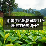 中国手机出货量跌11%：谁还在逆势增长？（图3）