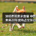 货机市场需求激增 中国未来20年或将占全球20%(图4) 货机市场需求激增 中国未来20年或将占全球20%(图4)