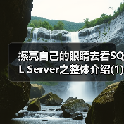 擦亮自己的眼睛去看SQL Server之整体介绍(1)(图2) 擦亮自己的眼睛去看SQL Server之整体介绍(1)(图2)