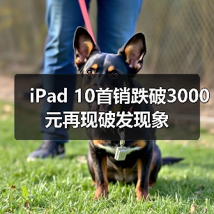 iPad 10首销跌破3000元再现破发现象(图4) iPad 10首销跌破3000元再现破发现象(图4)