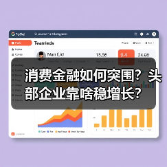 消费金融如何突围？头部企业靠啥稳增长？（图4）