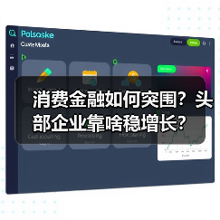 消费金融如何突围？头部企业靠啥稳增长？（图3）
