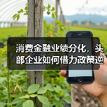 消费金融业绩分化,头部企业如何借力政策逆势突围?(图3) 消费金融业绩分化,头部企业如何借力政策逆势突围?(图3)