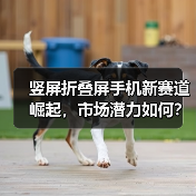 竖屏折叠屏手机新赛道崛起，市场潜力如何？