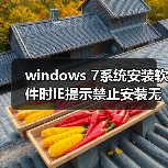 windows 7系统安装软件时IE提示禁止安装无效签名怎么办?(图4) windows 7系统安装软件时IE提示禁止安装无效签名怎么办?(图4)