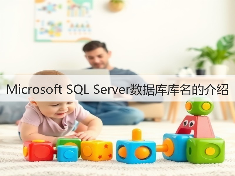 Microsoft SQL Server数据库库名的介绍