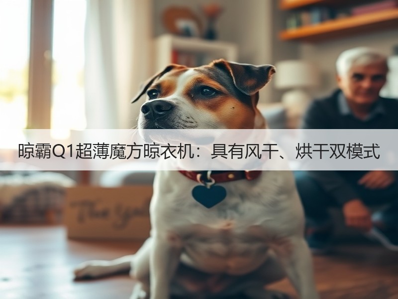 晾霸Q1超薄魔方晾衣机：具有风干、烘干双模式