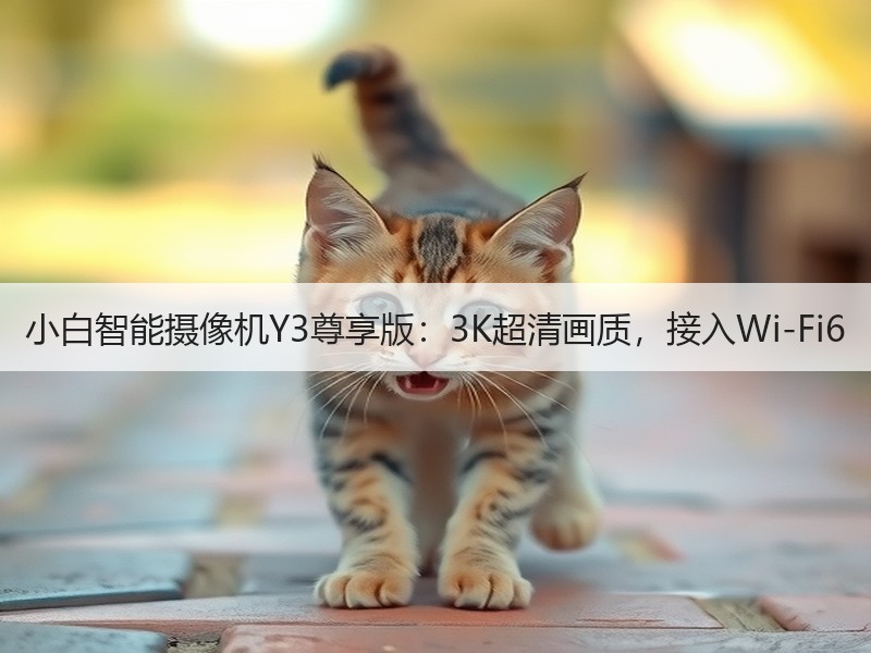 小白智能摄像机Y3尊享版：3K超清画质，接入Wi-Fi6