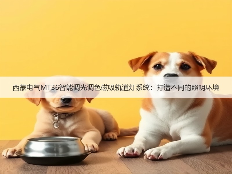 西蒙电气MT36智能调光调色磁吸轨道灯系统：打造不同的照明环境