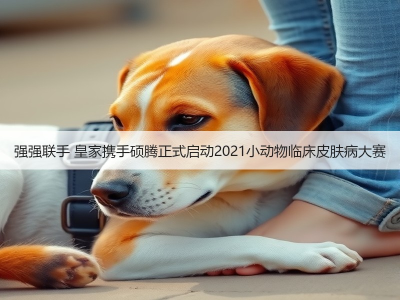 强强联手 皇家携手硕腾正式启动2021小动物临床皮肤病大赛