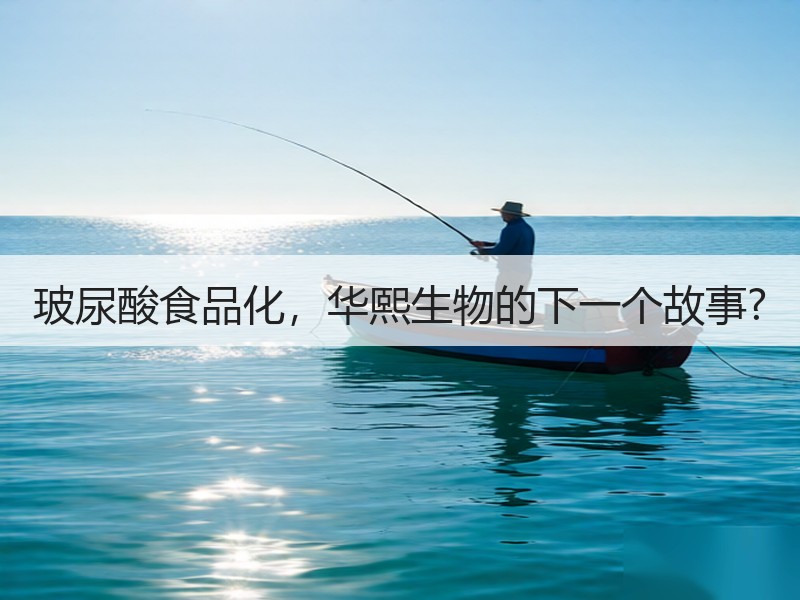 玻尿酸食品化，华熙生物的下一个故事?