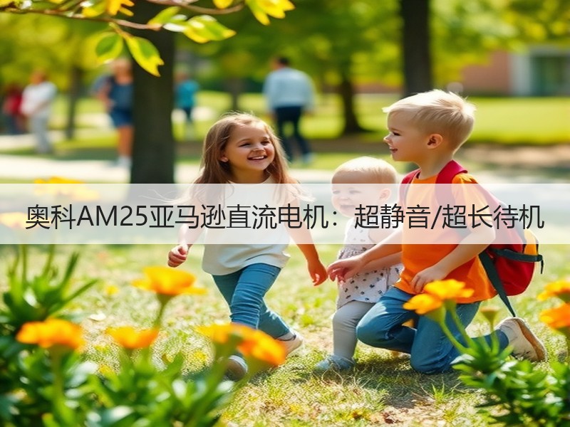 奥科AM25亚马逊直流电机：超静音/超长待机