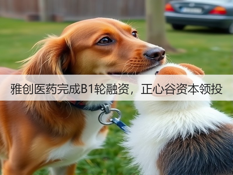 雅创医药完成B1轮融资，正心谷资本领投