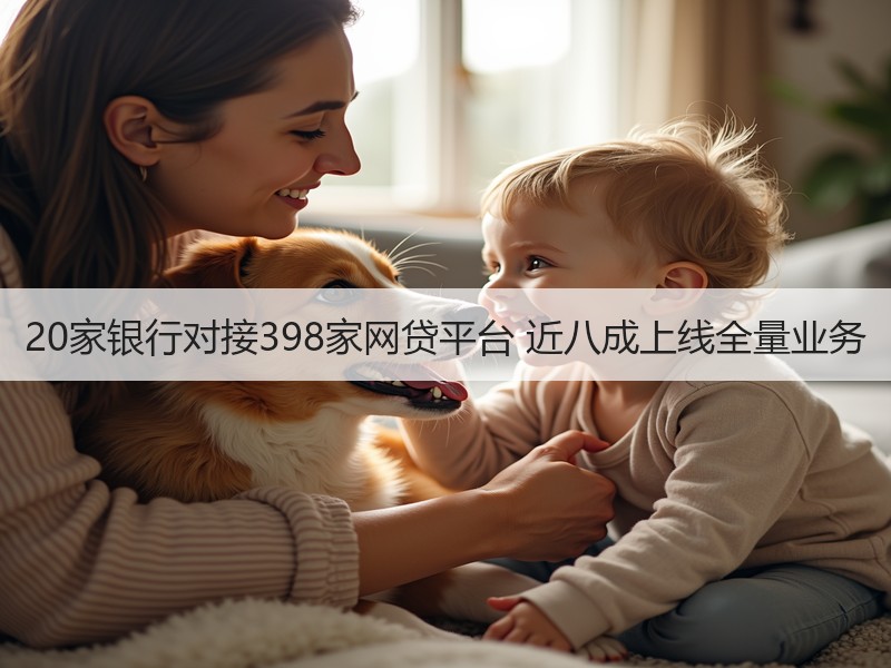 20家银行对接398家网贷平台 近八成上线全量业务