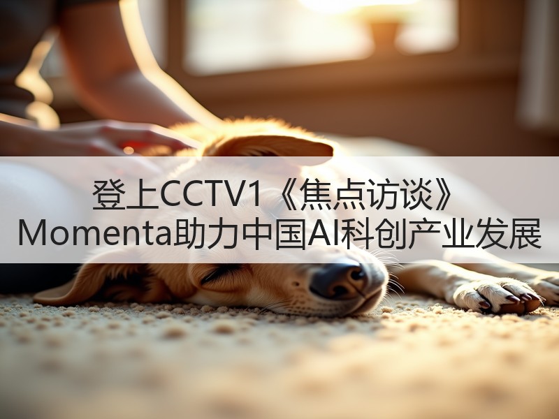登上CCTV1《焦点访谈》 Momenta助力中国AI科创产业发展