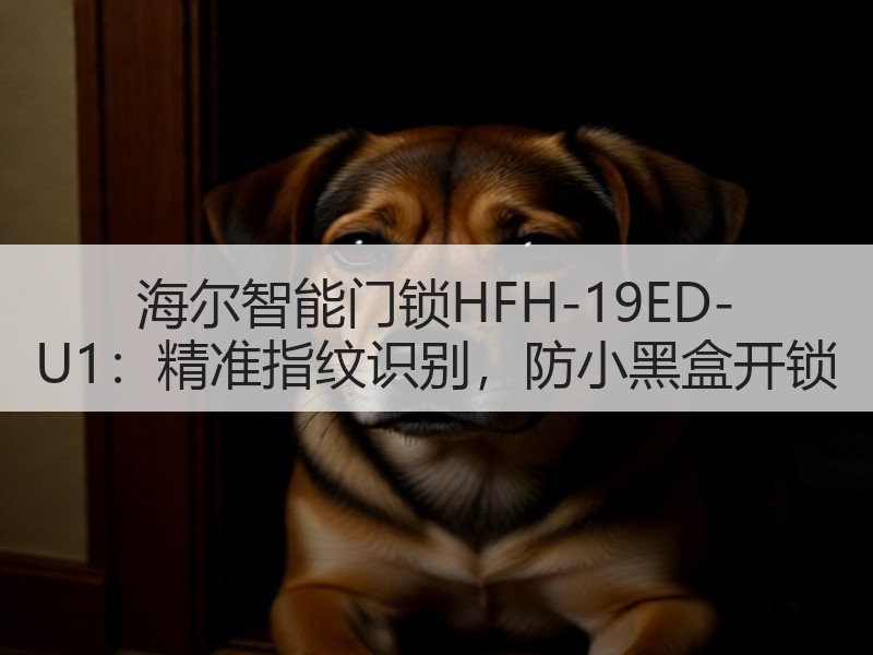 海尔智能门锁HFH-19ED-U1：精准指纹识别，防小黑盒开锁
