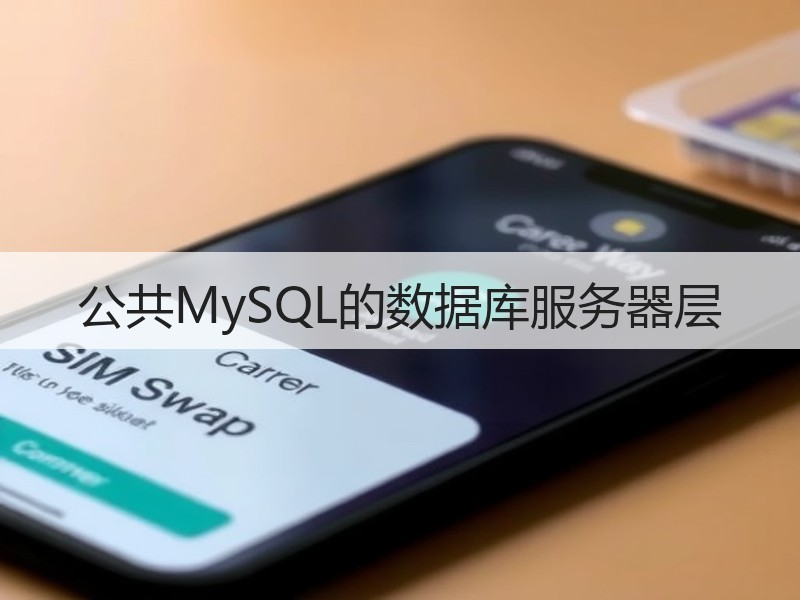 公共MySQL的数据库服务器层