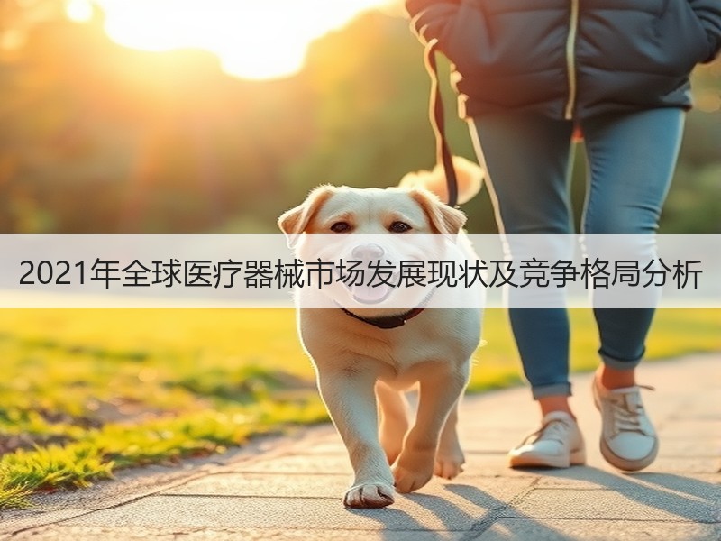 2021年全球医疗器械市场发展现状及竞争格局分析