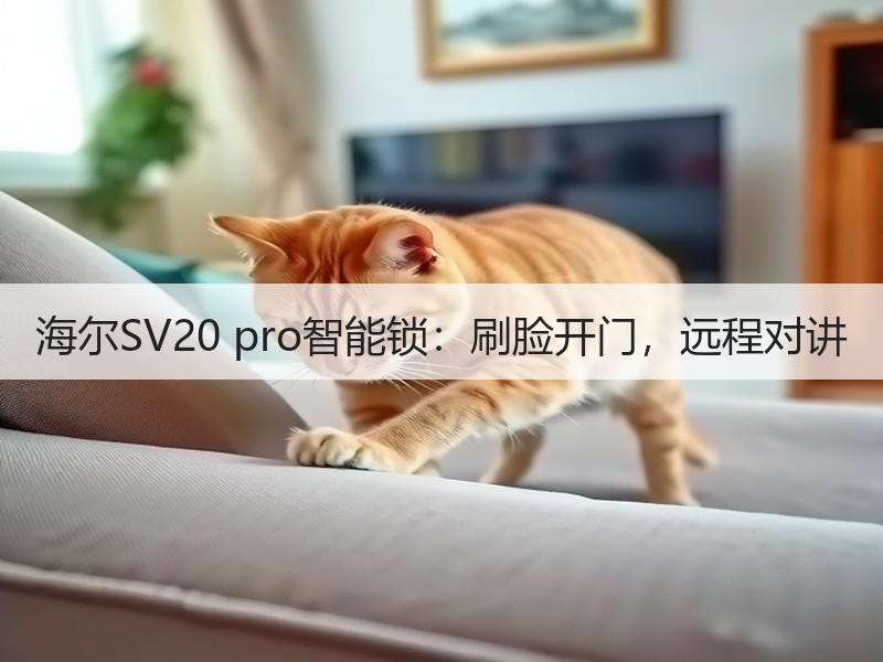 海尔SV20 pro智能锁：刷脸开门，远程对讲