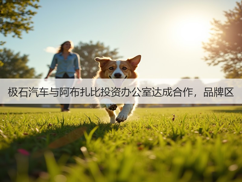 极石汽车与阿布扎比投资办公室达成合作，品牌区