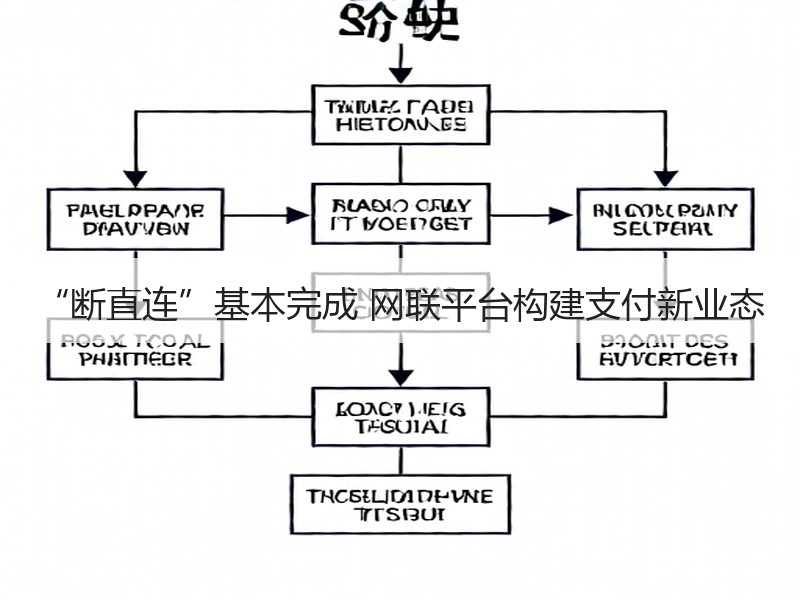 “断直连”基本完成 网联平台构建支付新业态
