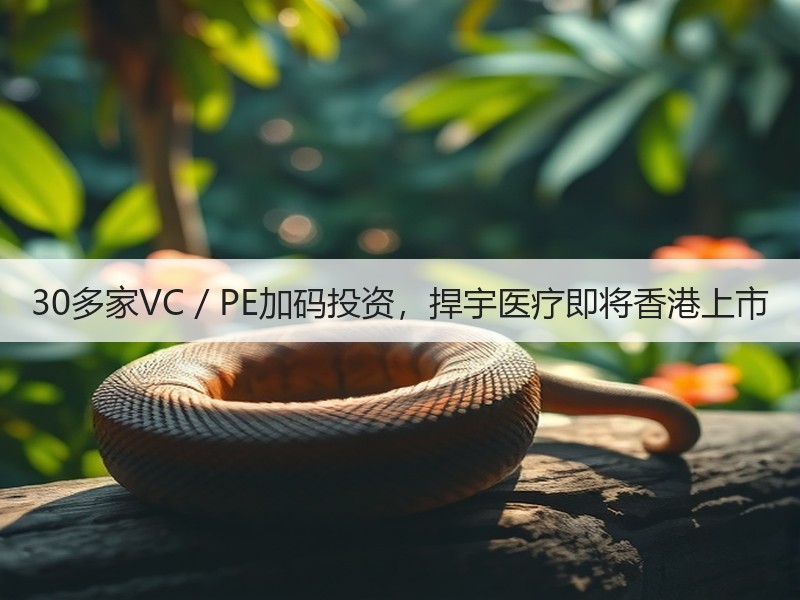30多家VC／PE加码投资，捍宇医疗即将香港上市