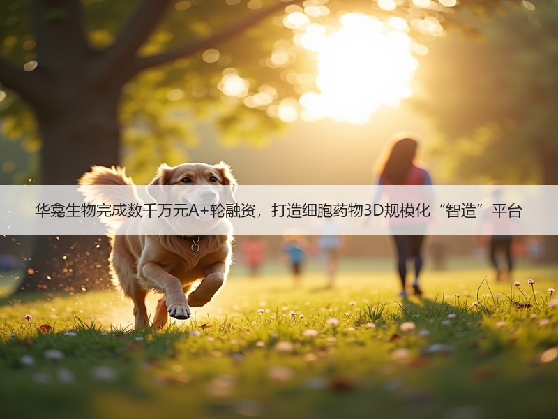 华龛生物完成数千万元A+轮融资，打造细胞药物3D规模化“智造”平台