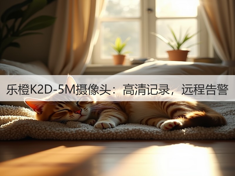 乐橙K2D-5M摄像头：高清记录，远程告警