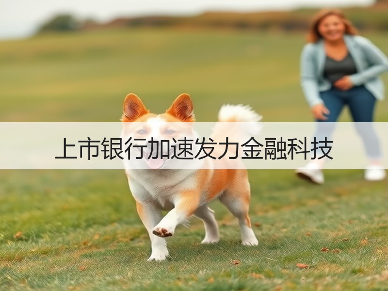 上市银行加速发力金融科技