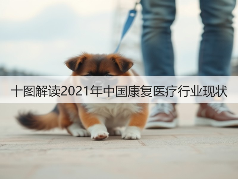 十图解读2021年中国康复医疗行业现状