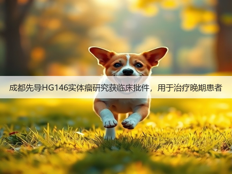 成都先导HG146实体瘤研究获临床批件，用于治疗晚期患者