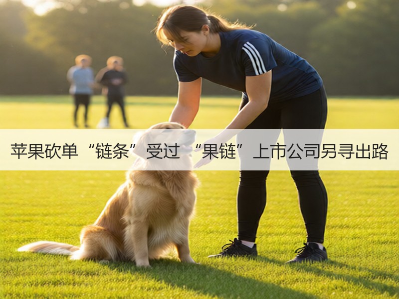 苹果砍单“链条”受过 “果链”上市公司另寻出路