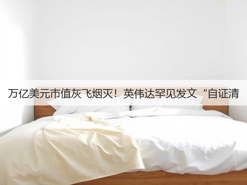 万亿美元市值灰飞烟灭！英伟达罕见发文“自证清
