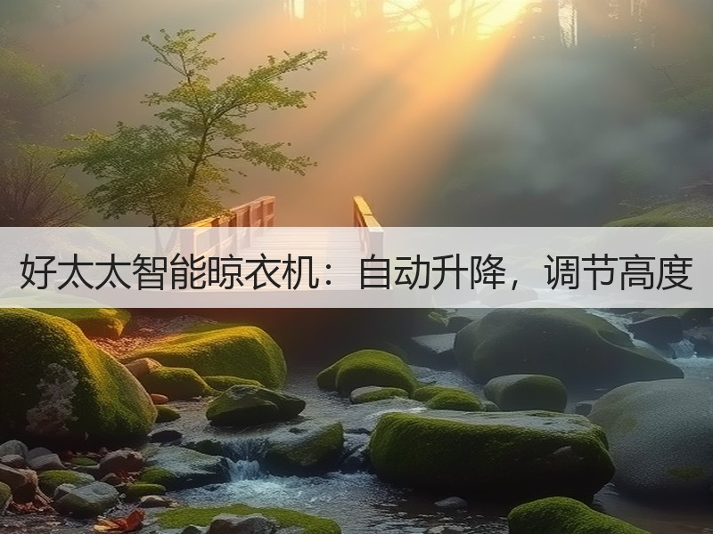 好太太智能晾衣机：自动升降，调节高度