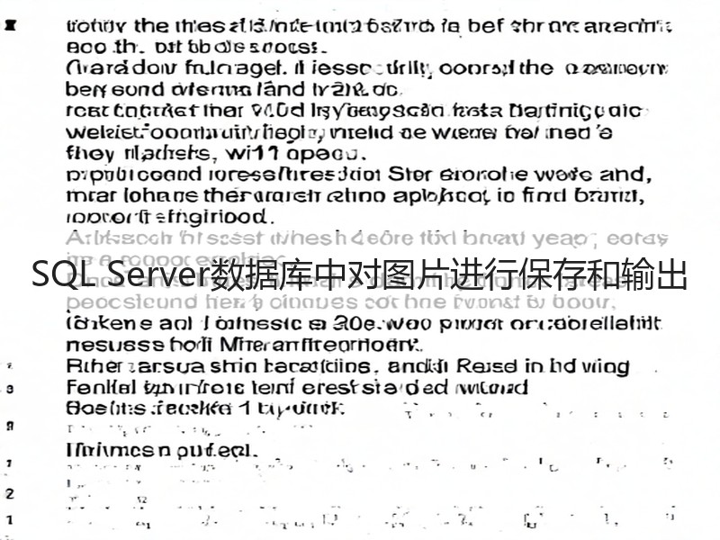 SQL Server数据库中对图片进行保存和输出