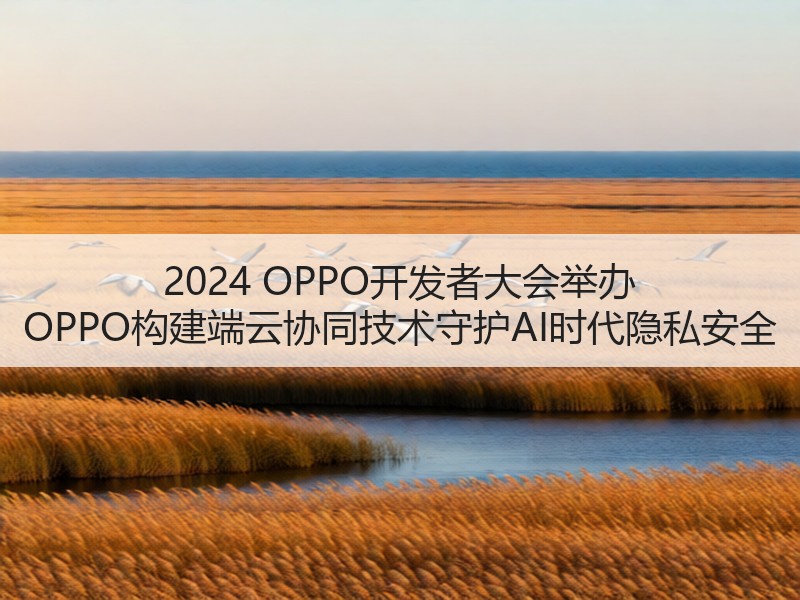 2024 OPPO开发者大会举办 OPPO构建端云协同技术守护AI时代隐私安全