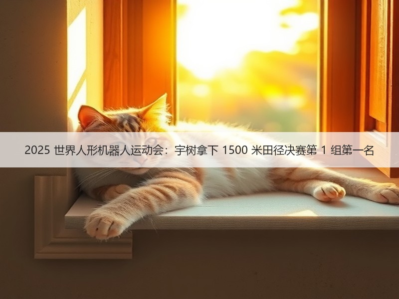 2025 世界人形机器人运动会：宇树拿下 1500 米田径决赛第 1 组第一名