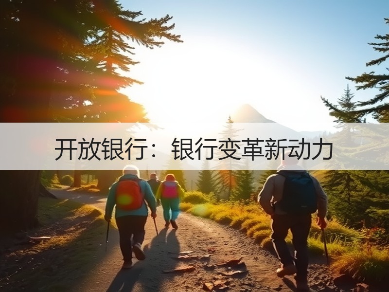 开放银行：银行变革新动力