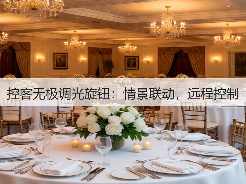 控客无极调光旋钮：情景联动，远程控制