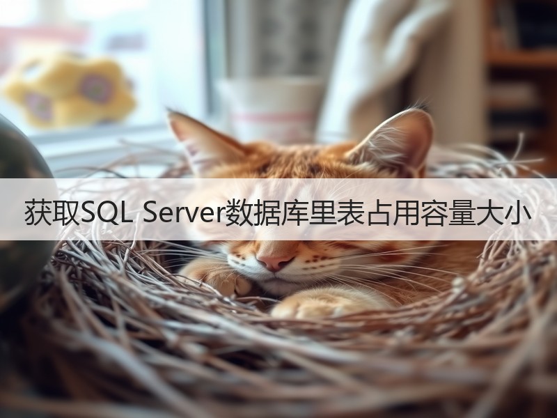 获取SQL Server数据库里表占用容量大小