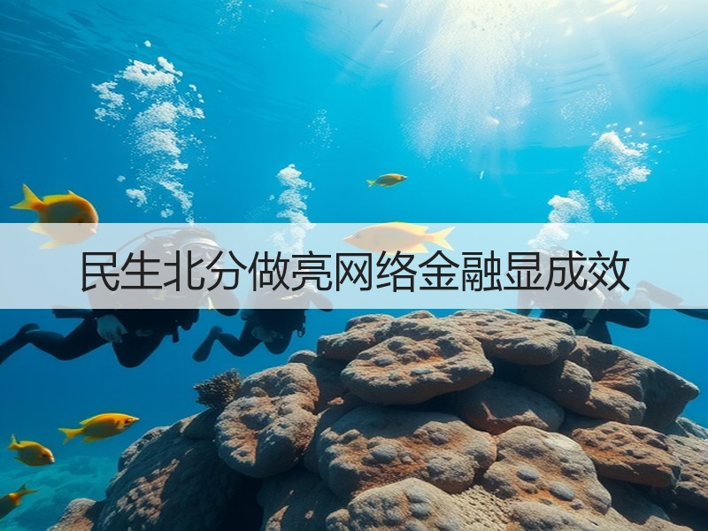 民生北分做亮网络金融显成效